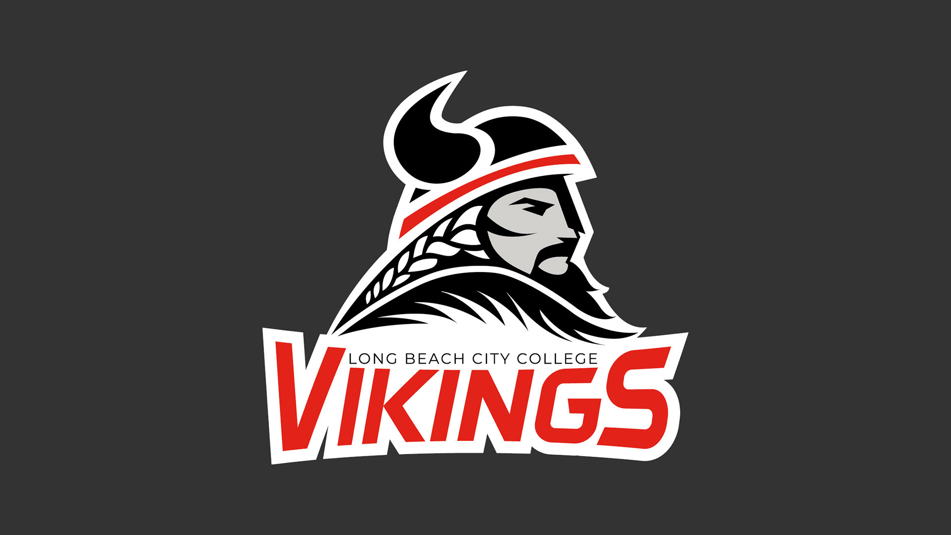 Vikings Logo Design & Rebrand | Marinda Martin